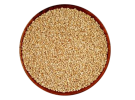 pngwing.com (1)